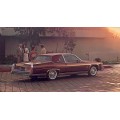 1981 Cadillac Fleetwood oil painting